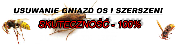 Usuwanie gniazd os i szerszeni - skuteczność 100%